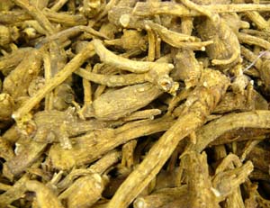 Indian Ginseng
